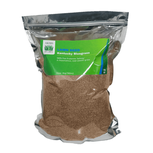 Kentucky-Blugrass-2kg-1