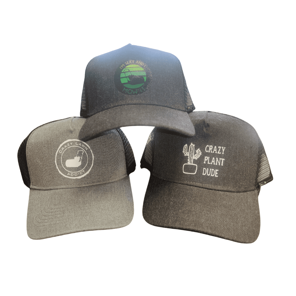TBT-Caps-1