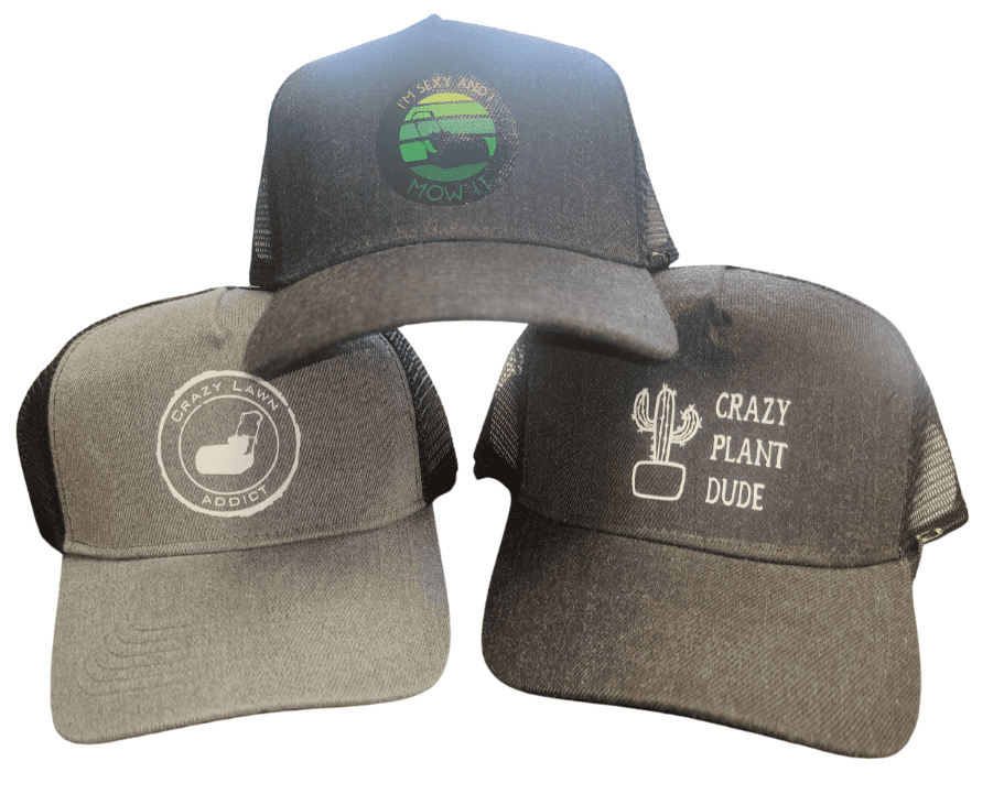TBT-Caps