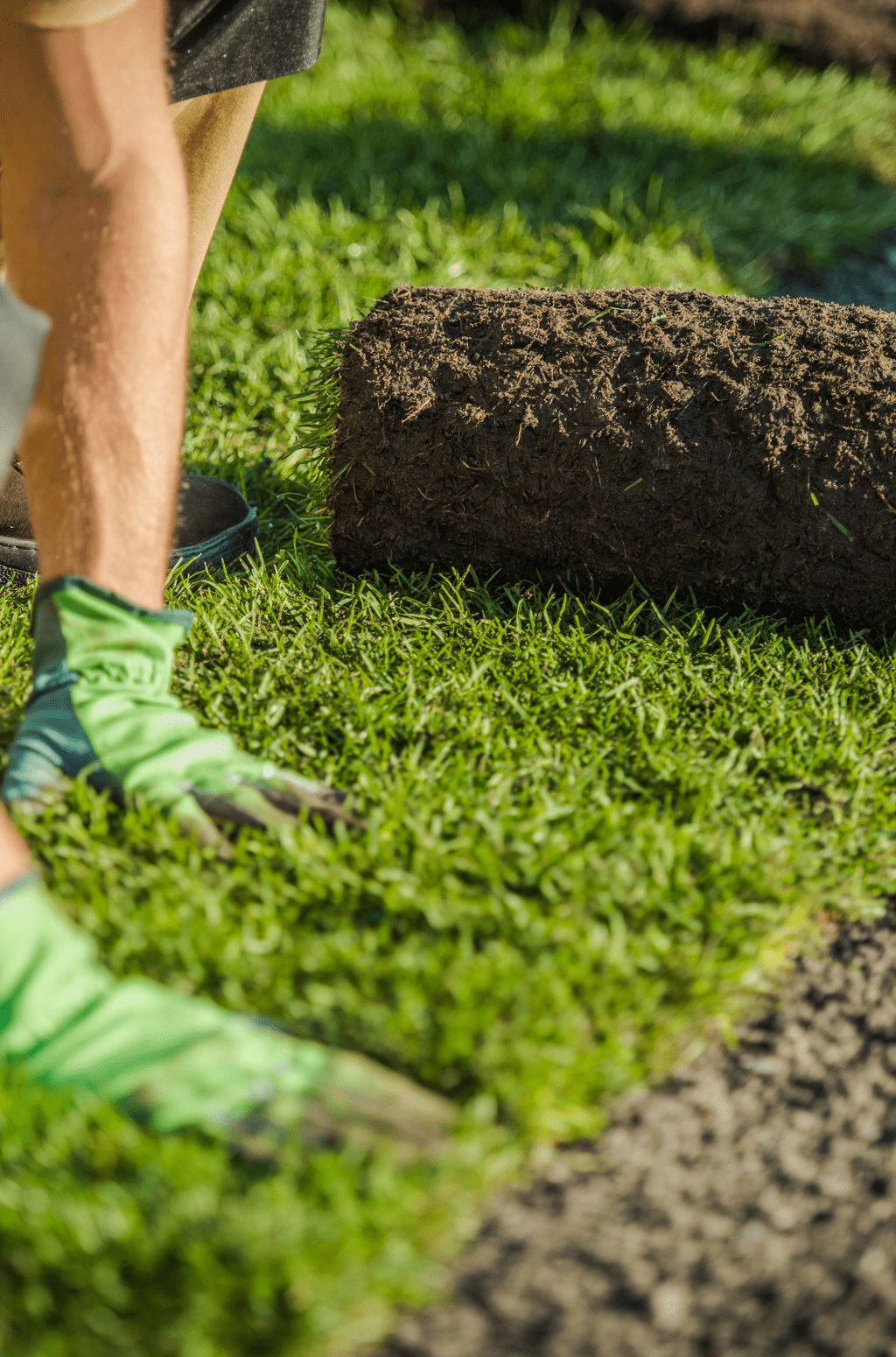 Can I Lay Turf in Summer?