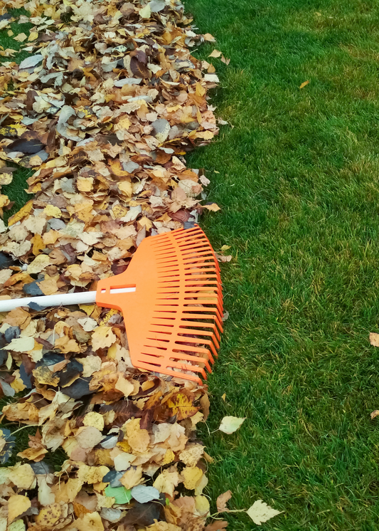 Autumn Maintenance Checklist: Getting Your Yard Ready for the Colder Months