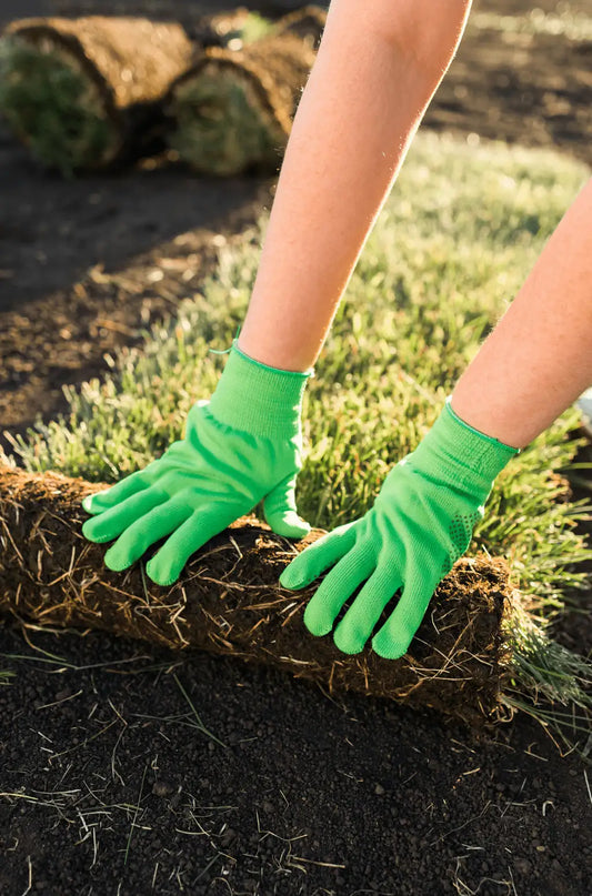 Can I Lay Instant Lawn During Winter?