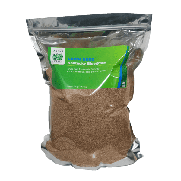 Kentucky Bluegrass Seed