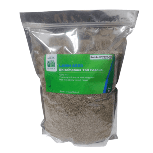 Rhizomatous Tall Fescue (RTF) Seed