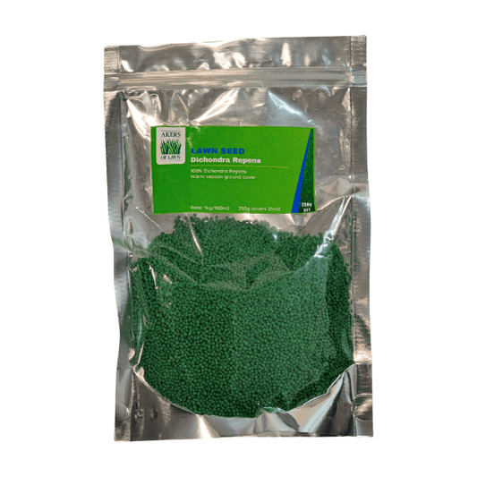 Dichondra-Repens-Seed