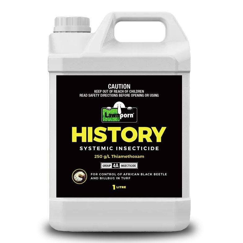 Lawnporn-History