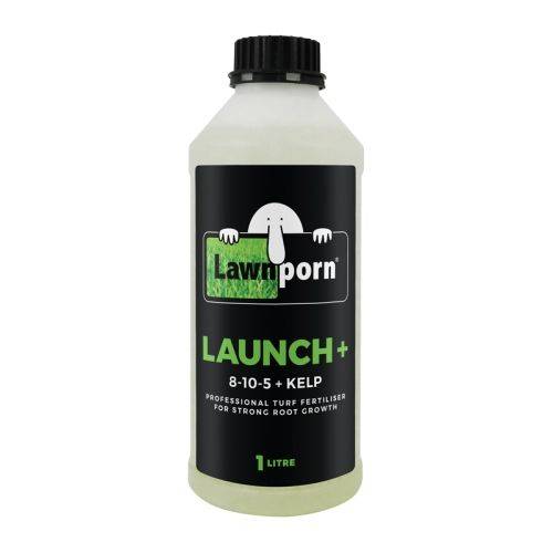 Lawnporn-Launch