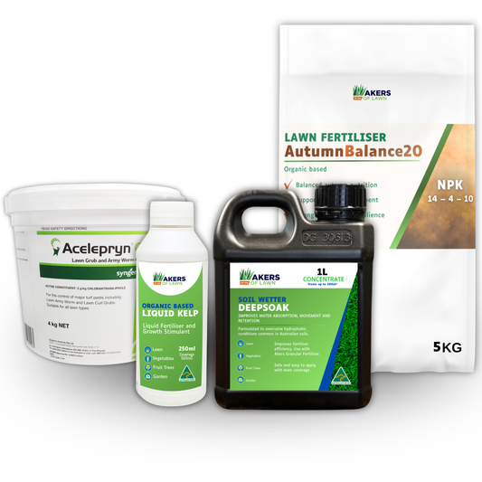 Autumn20 Bundle