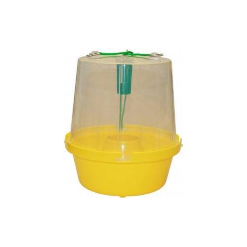 Wasp-Trap