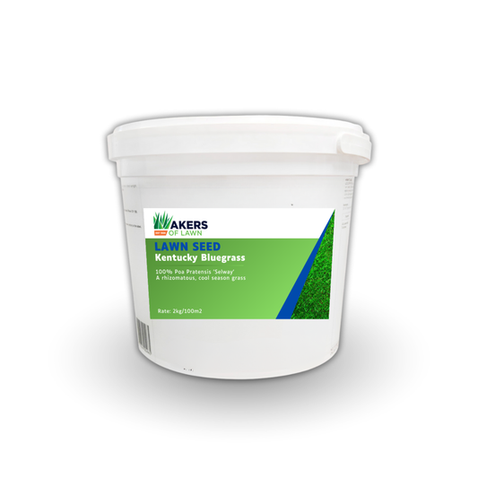 Kentucky Bluegrass Seed 1kg